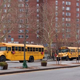 picture of two school buses on city street